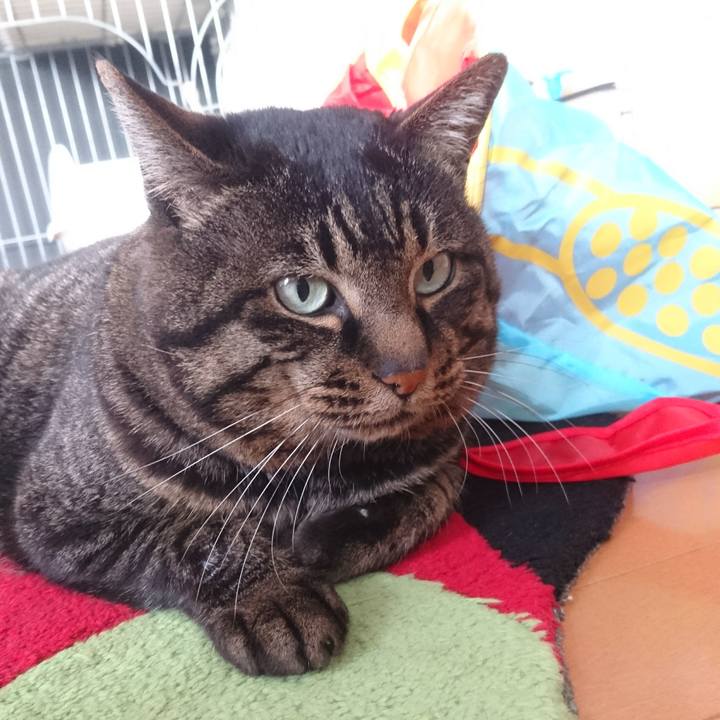 88e58ab9 4918 40e9 b358 0838ca6fde0f 1516423189999