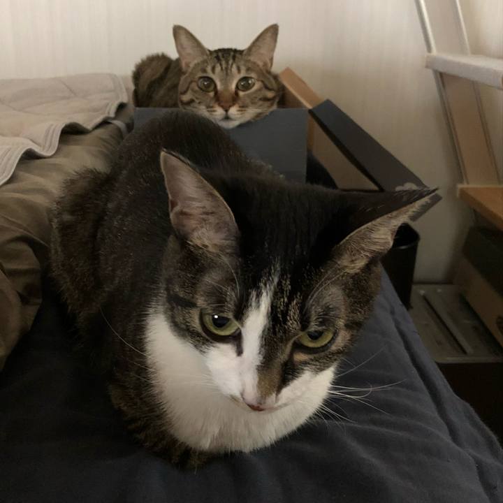 88e59e05 e017 49eb 91f8 626bd4fc4fce 1536077722060