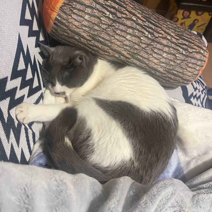 88e5c83e 6a56 43f2 8bb4 699f94818685 1677928508734