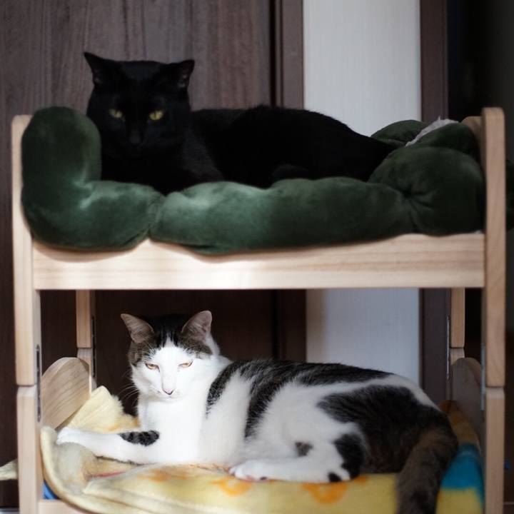 88e5eda0 b594 44b7 a8fb 6343bd19d13b 1520998292532