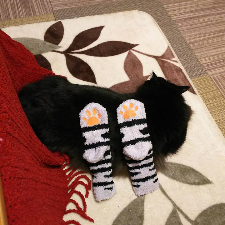 88e5f64f 71c0 4fc8 a222 0c6e22036358 1542720178654