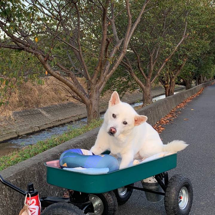 88e60a51 9787 42c6 9eea de0d91862ef8 1570403554400