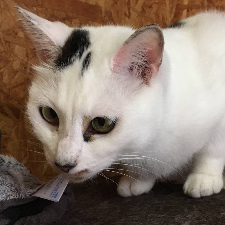 88e61c6f 6d7f 4ab5 80ad 032c3009669c 1510806079152