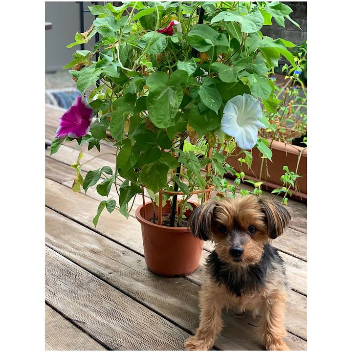 88e64528 c9ee 4d4e 85c3 15f199026a26 1629668757330