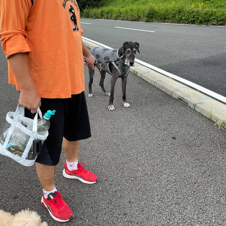 88e66ad2 3c0f 40fb aad5 6d81d5d9d364 1633831758916