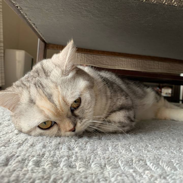 88e679c8 1ed2 4f80 aa7e c01bc1018423 1705558310739