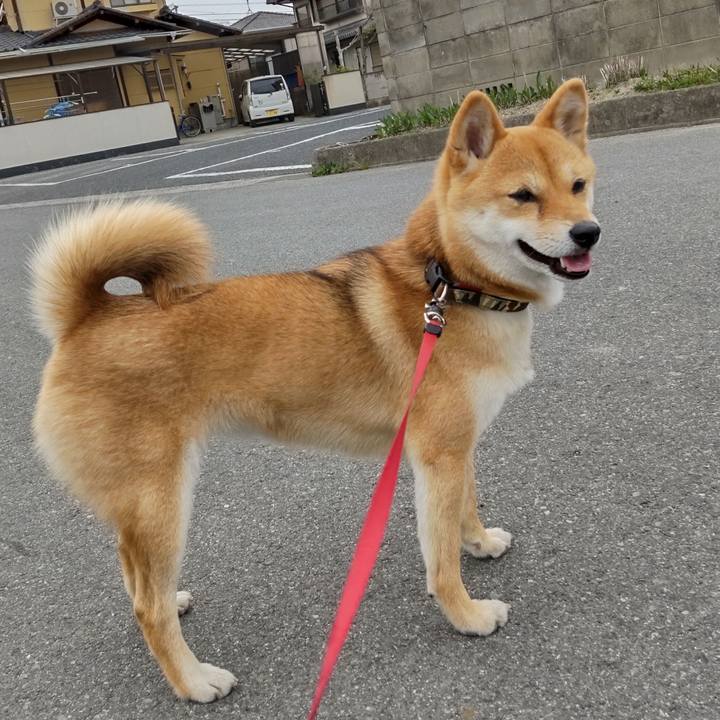 88e68d0e 1c59 4600 a767 0b03f3c62f97 1649669212388