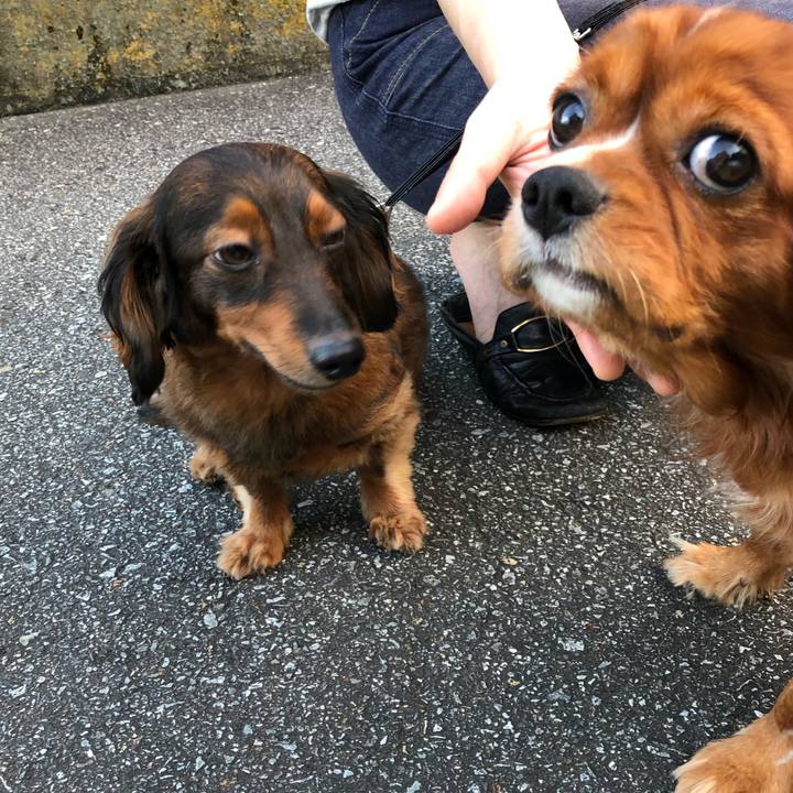 88e699ff 22f5 4868 a7ba 68f6209c0710 1568460135001