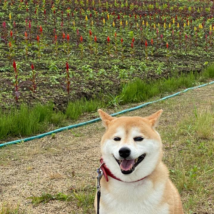 88e6add7 2cb3 4be0 bd1b ce999cb57fbe 1629215945628