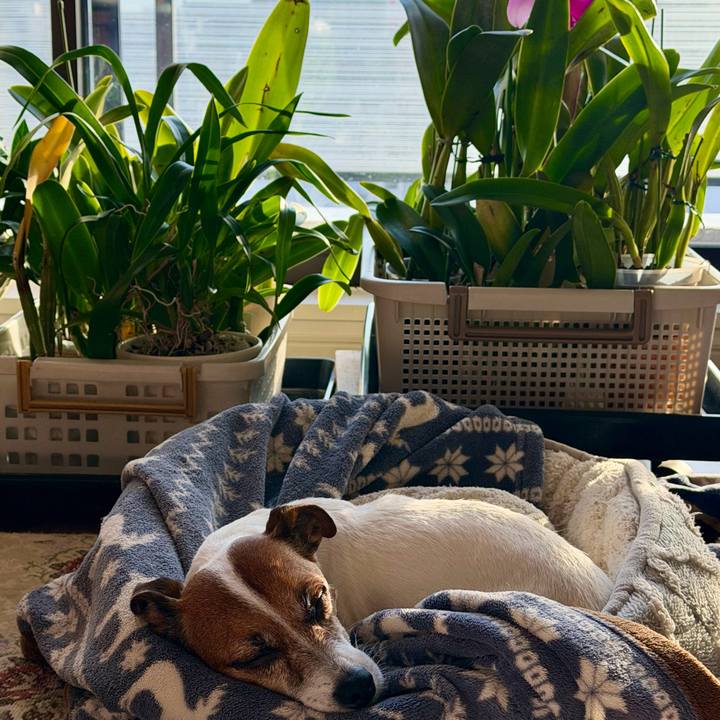 88e7185e 022c 4664 8898 5c8b86217f63 1768028701647