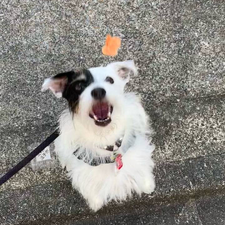 88e723fb 72e8 4d91 b798 bd19b34a6c12 1693436594548