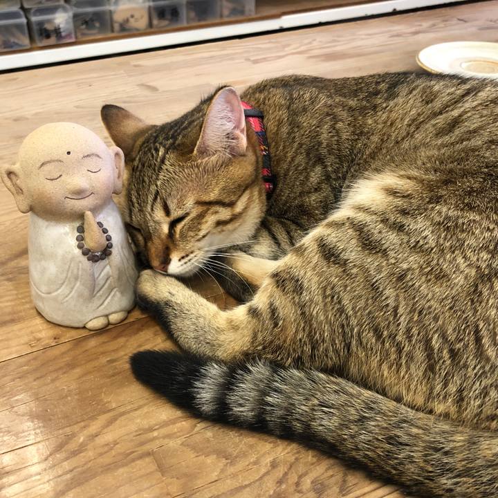 88e724b7 ad9c 4724 8840 5ae0d00a3e0d 1596166733965