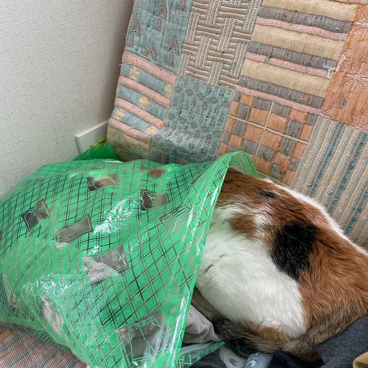 88e76a3b f496 4a78 823c fb14d43cb4a7 1685242345070