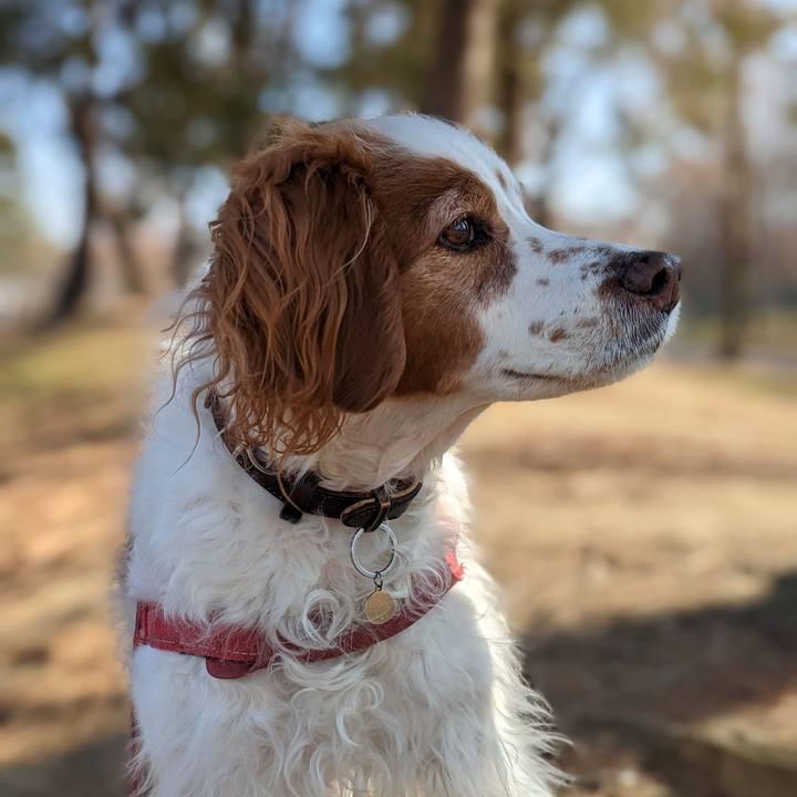 88e79398 b7ef 499e ab0e 91839d51cdfa 1673510717072