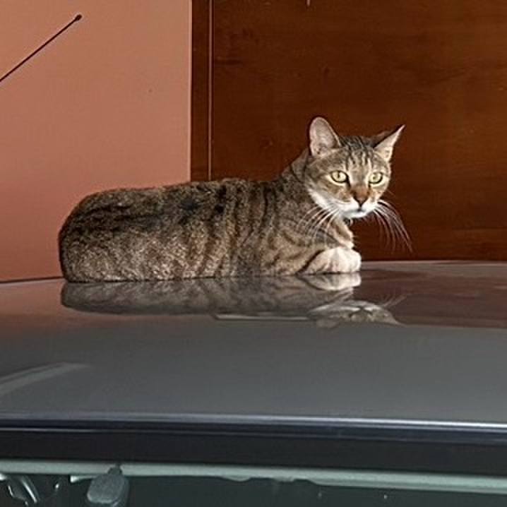 88e7be59 ce87 4714 8346 4a39a82bf626 1726483310417