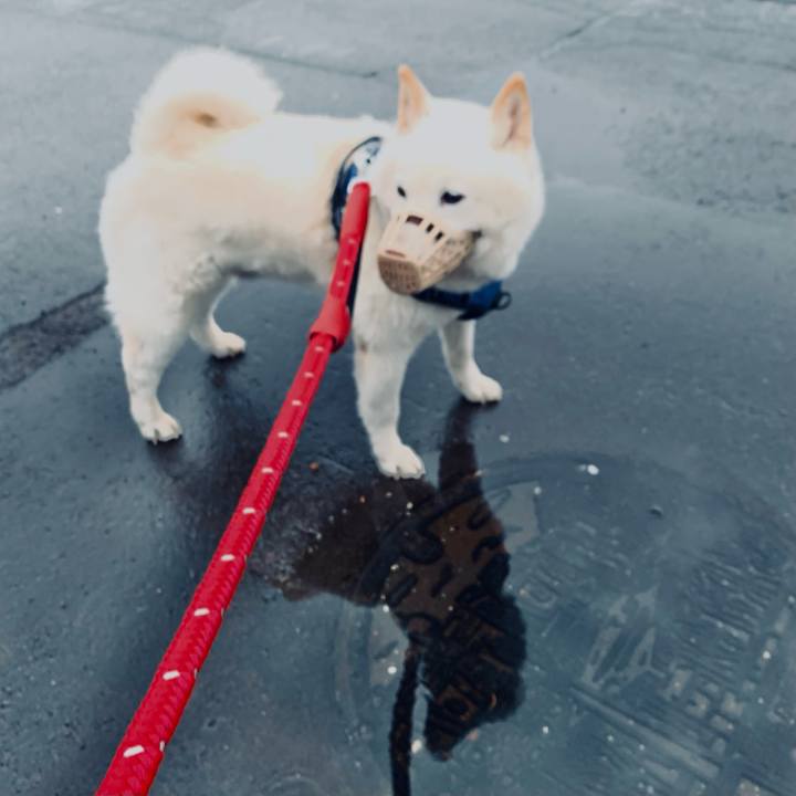 88e7db72 de32 4f18 8de2 264ba4b93cc3 1651609884404