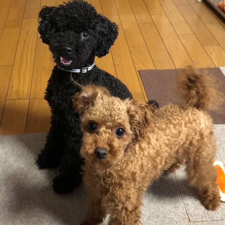 88e7de66 da2d 4d9a 98b7 67d574c5a9b2 1530341515520