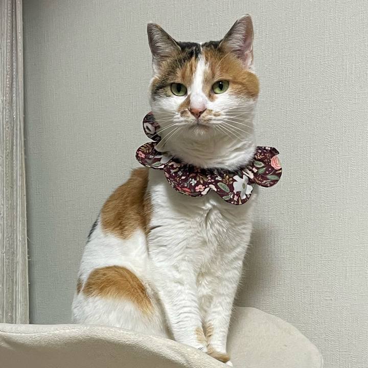 88e8480d dd24 4428 a4b8 905ba40385c5 1765806030767