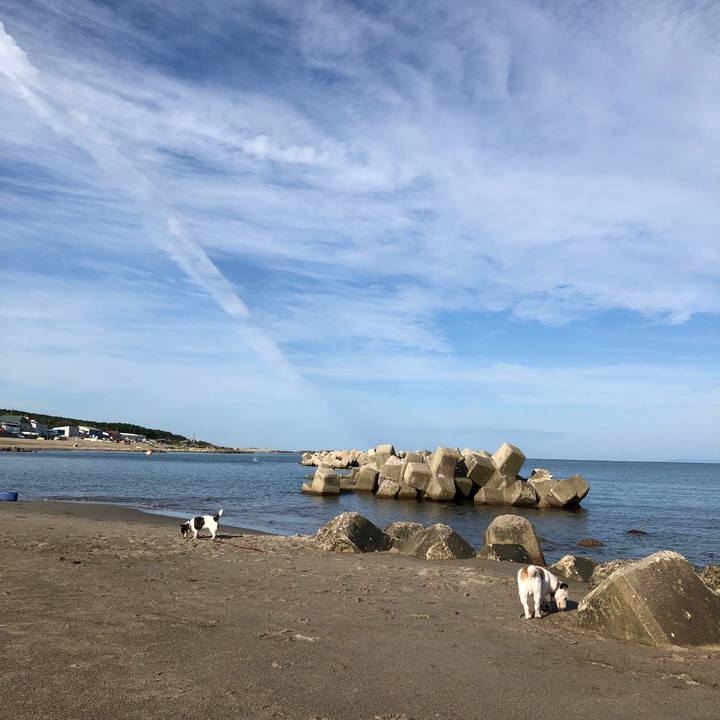 88e8954f 4281 4b86 a6fb 9718d6a654d9 1534635080088