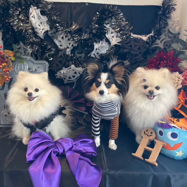 88e8b6fe 981f 4af7 b2a1 6227ce936d12 1634968006362