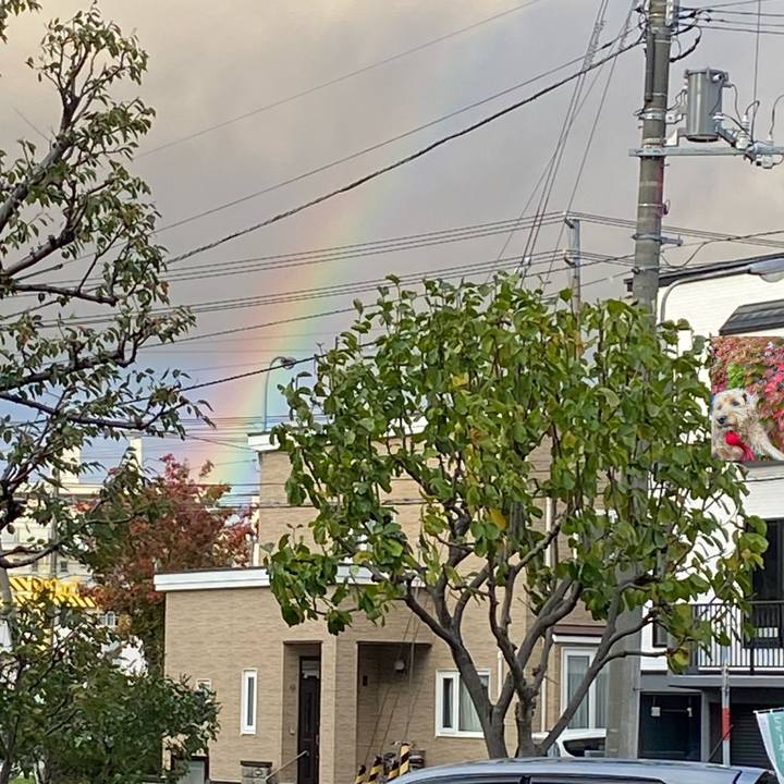 88e8fd1c b411 4a8b ab89 e54dab682bf8 1666007411144