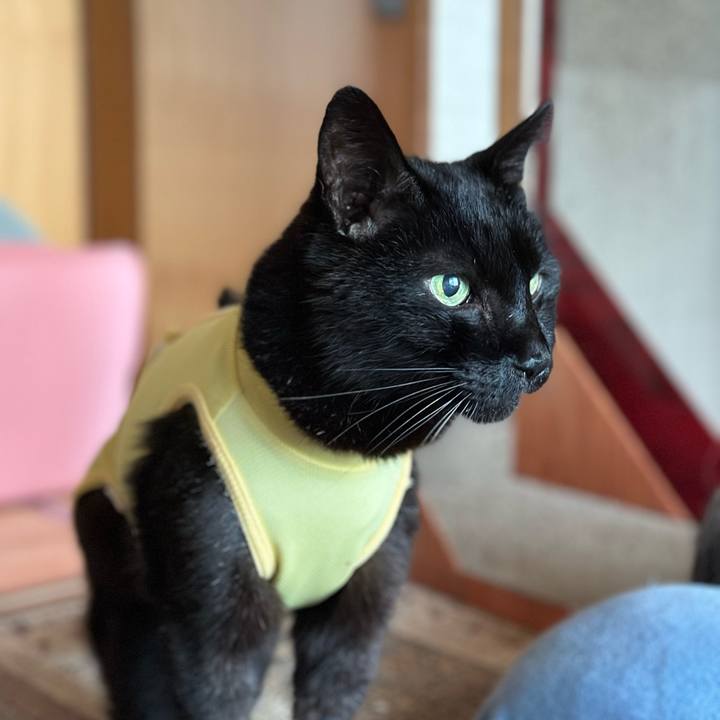 88e94016 90d4 44e8 827e ced34a65f25b 1714788196959