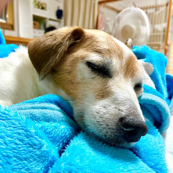 88e964cb e285 4701 8bdc fd97b912845d 1719582013349