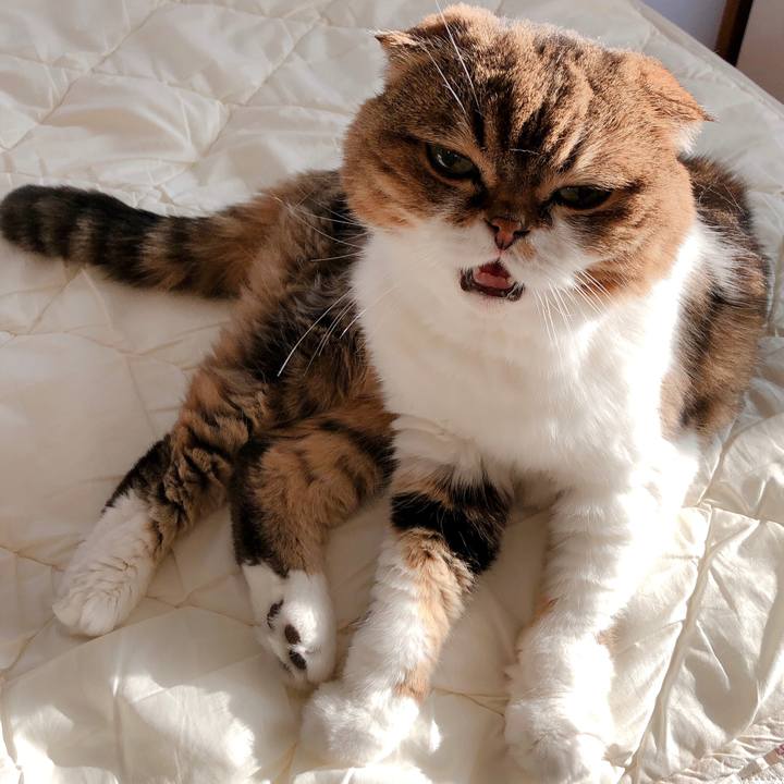 88e96833 a404 4fdc 9dce dc395d77c551 1598436455097