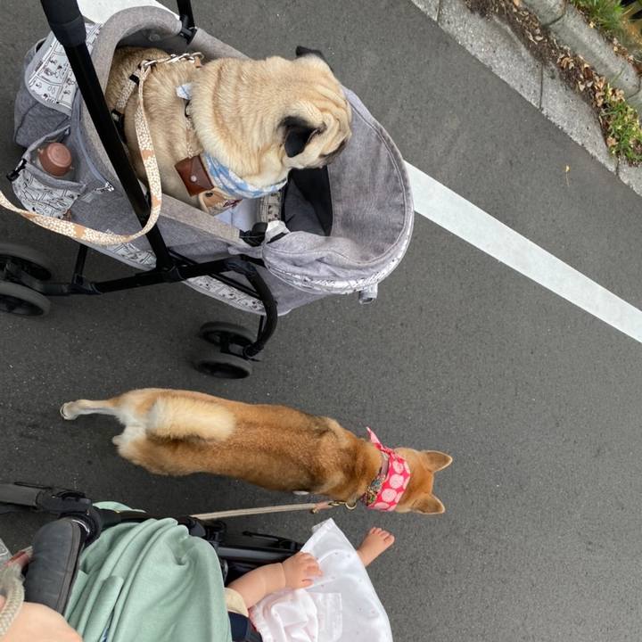 88e9b90d 0ee1 46cc 9ff6 ef639a1d49dc 1658979740519