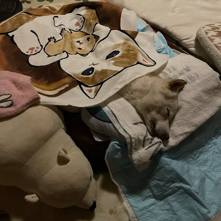 88ea08ef b6e9 4e5d b19b a5917d2824f1 1688332566123