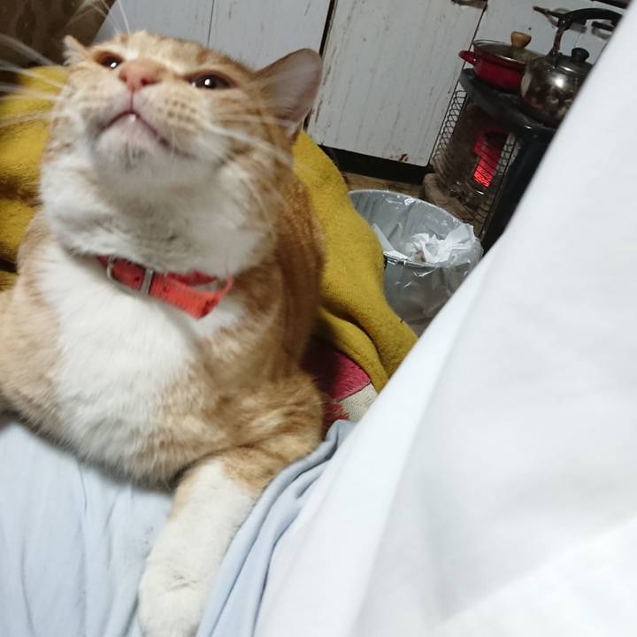 88ea4b51 8ec6 416f 80ad fbf8f53ae05c 1573552910061