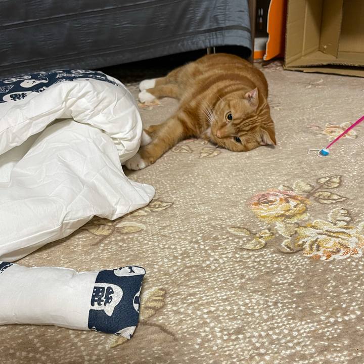 88ea803e 850a 4ba8 b1b9 19232b710358 1618590924259