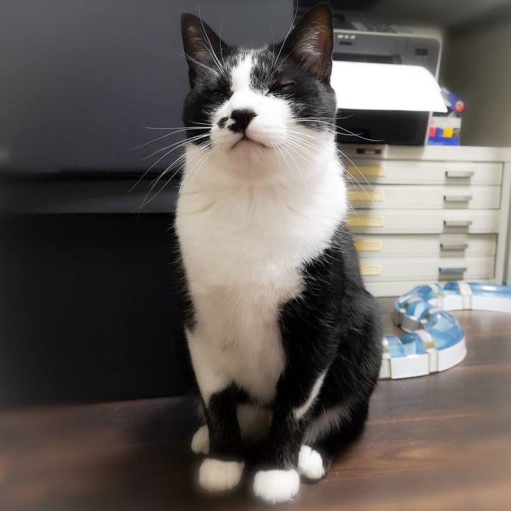 88ea9f39 fde8 4e0c af40 243edb93c861 1545328591086