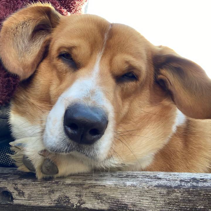 88eab6c2 7b83 4c6e b445 4c464d16834d 1709341830990