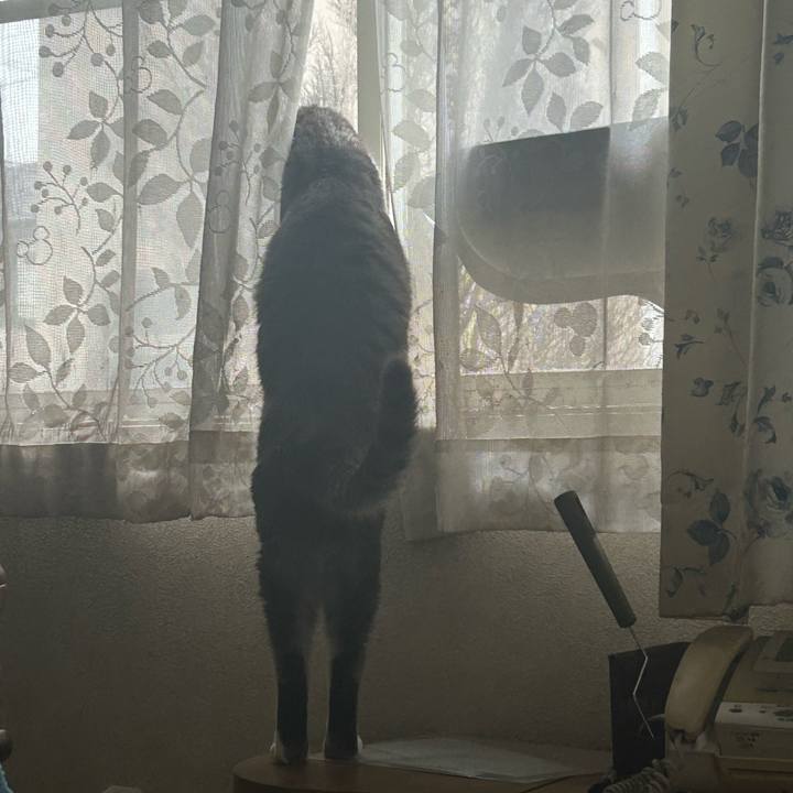 88ead815 a2a8 4a40 86c3 0f639c585e6d 1763019617163