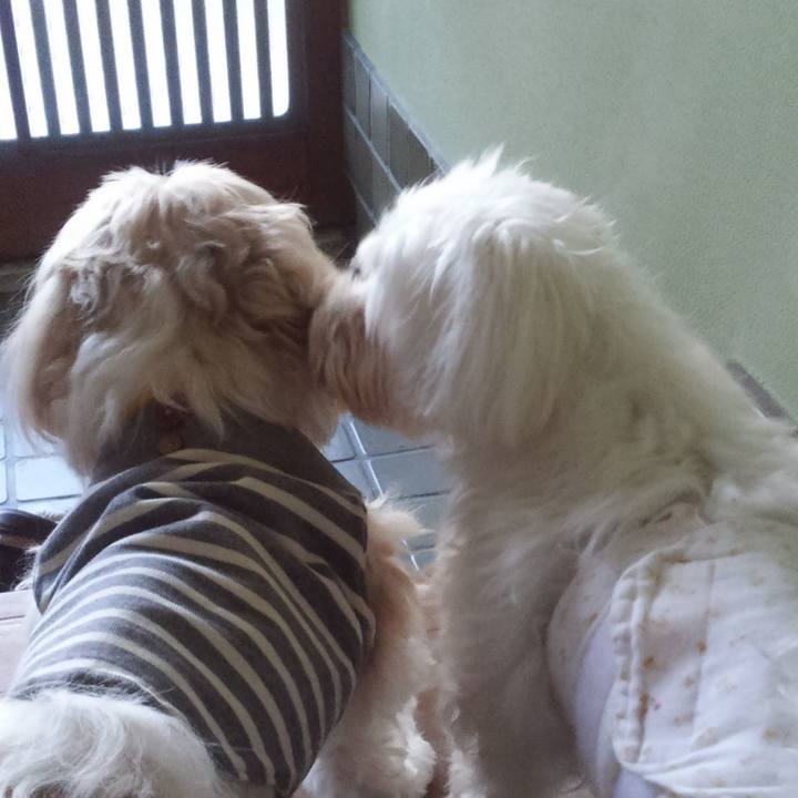 88eb0e36 850d 4469 a1f5 97689ab5c6f6 1573434832586