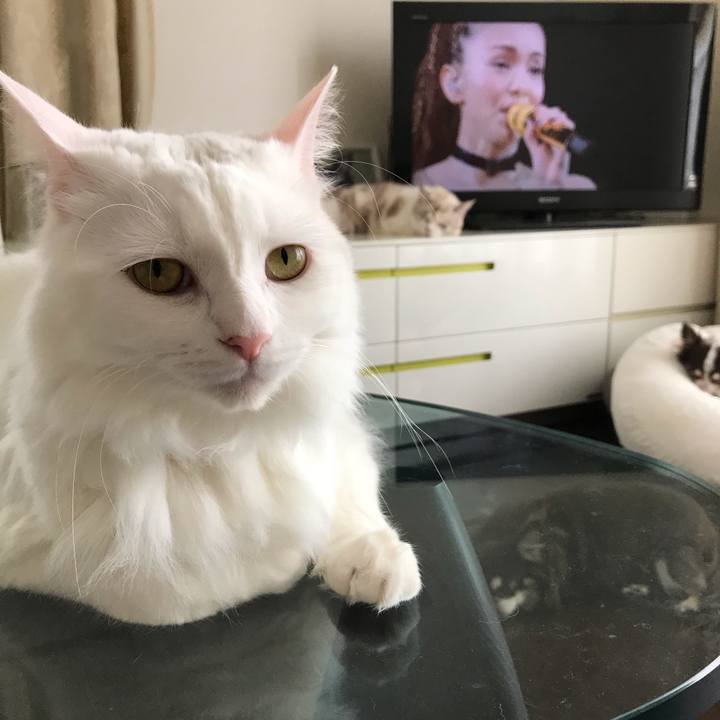 88eb0f7d 5a49 4e7b a3b6 0f3549c6a7c9 1538995554286