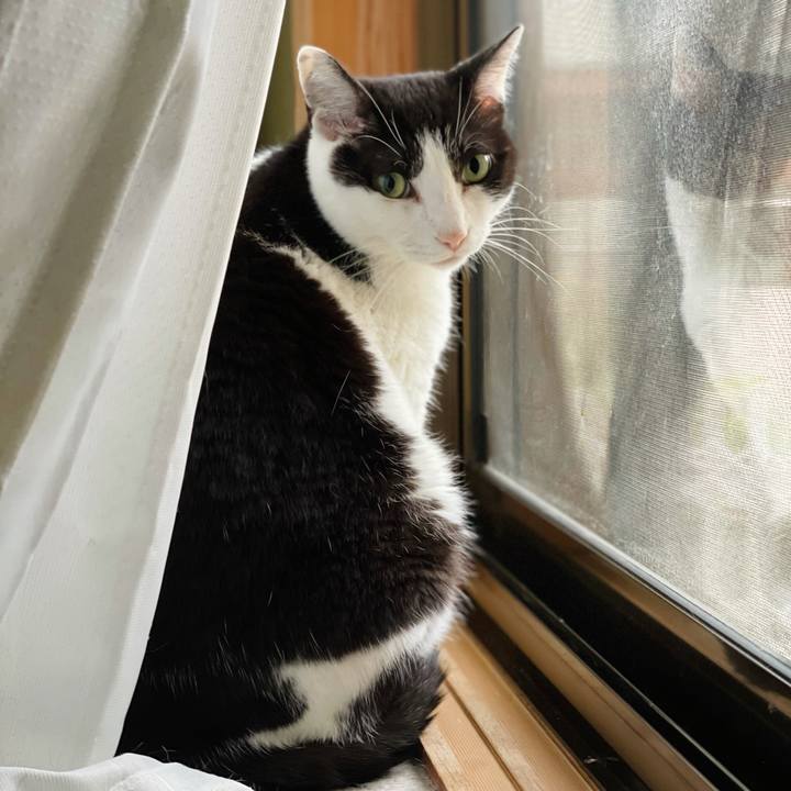 88eb3201 5d9b 4d4c afb2 fca0c1e415e8 1624414459539