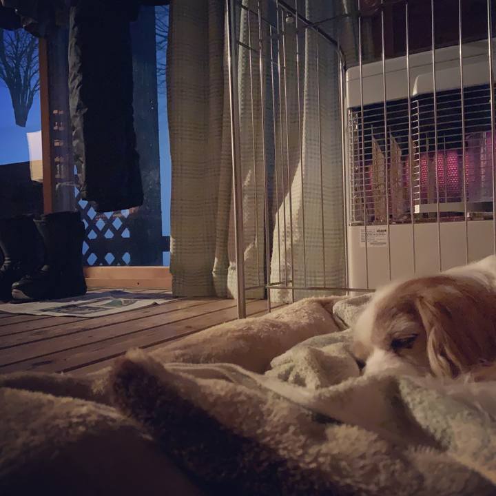 88eb571d 1cbc 4cbb abd3 acb678bfccae 1610918991902