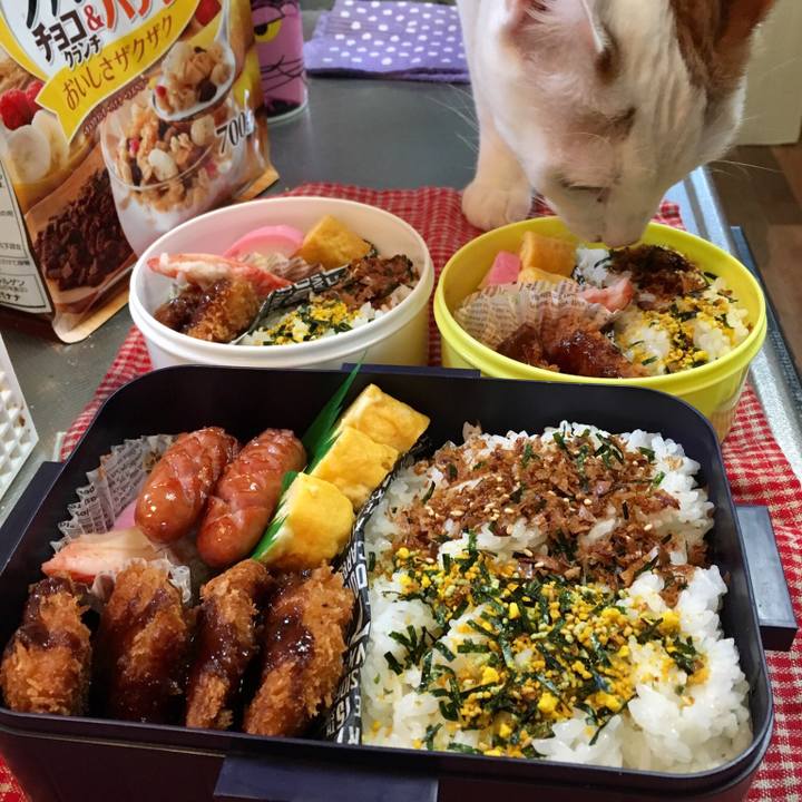 88eb57bc 27b1 449f b417 9928b772fcea 1522042179555