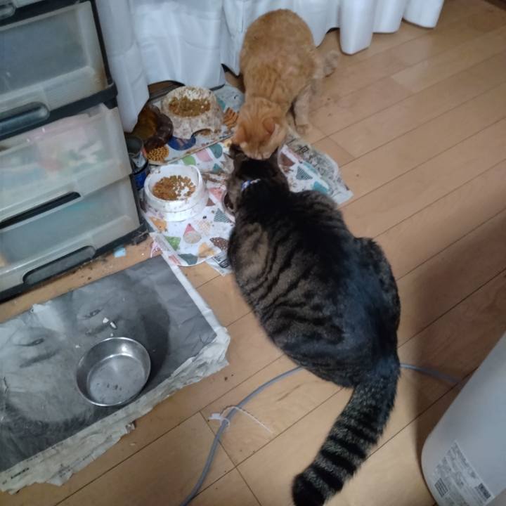 88eb727f 0d28 474b adbd 496c60075c1f 1672960971314