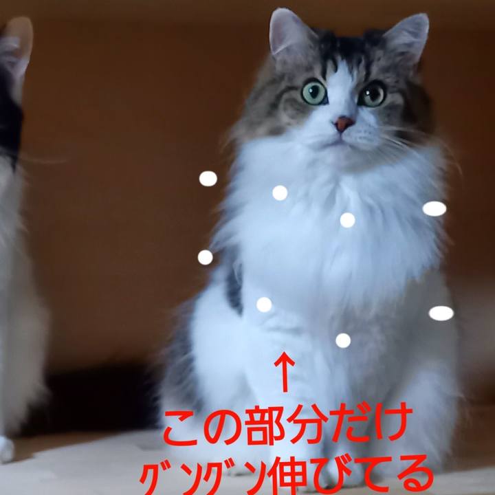 88eb7513 a9cb 44cb 8cc3 45c9f0ecdae8 1637577203819