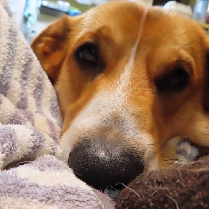 88eb79cd ca78 4655 beef c4f20376ecaf 1625790401547