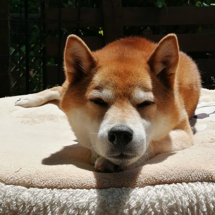 88ebb5fe 1b87 4fe8 b1e8 2d267041c871 1683776127871