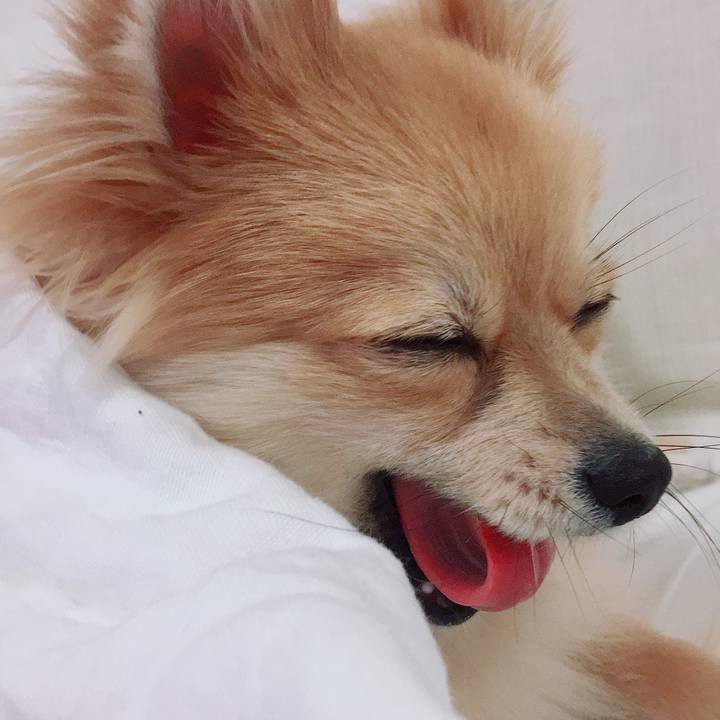 88ebf17d a99f 435f 870b 4dbf4a9eb0f3 1518872691678