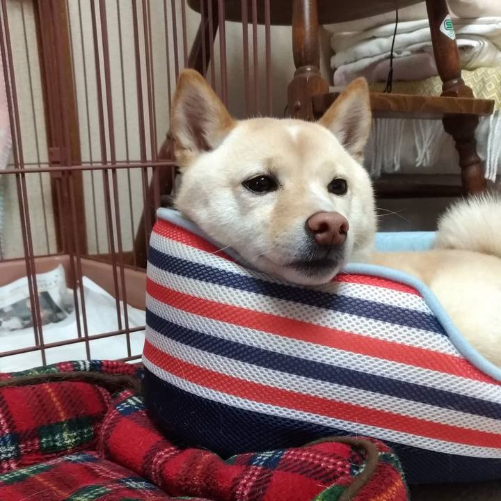 88ebff5a a8b9 45a7 b44c 0263f07d3a51 1556016844174