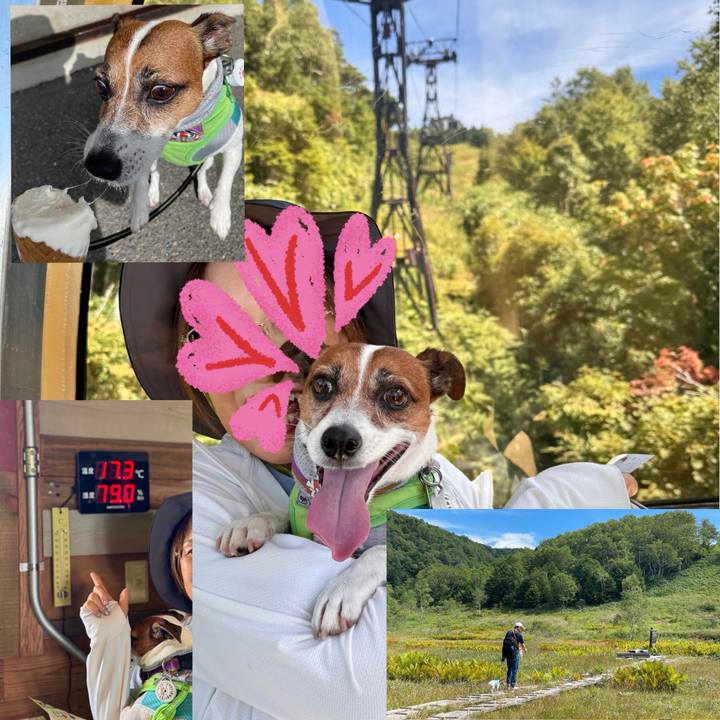 88ec1d5d 3940 4d23 98ce f311ad5fc387 1757299123720