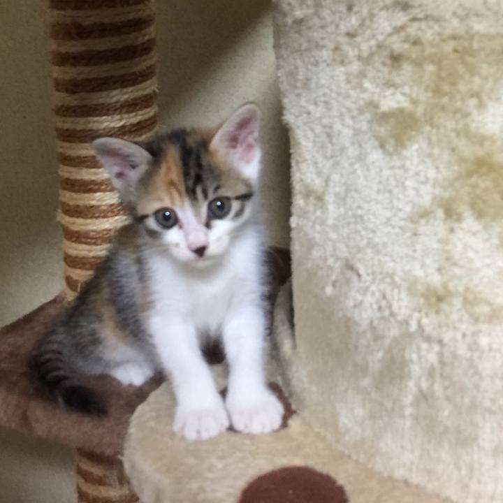 88ecfae8 cd1f 4e65 8504 b79e02cc76cb 1629112015484