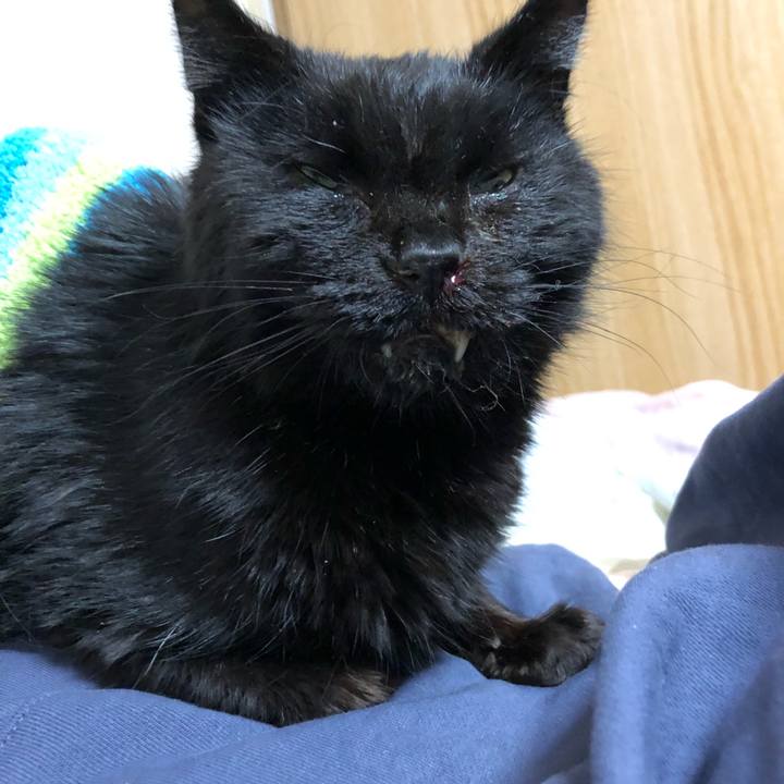 88ed1630 7977 4a88 b2e9 12bb600c003d 1647425971166