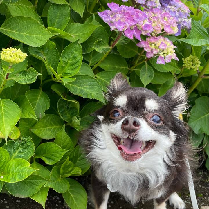 88ed1c87 898d 436e a4ad 833826076650 1622172231639